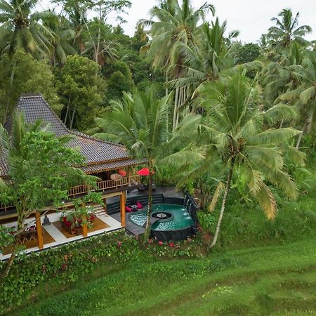 Отель Masakali Retreat Убуд Экстерьер фото